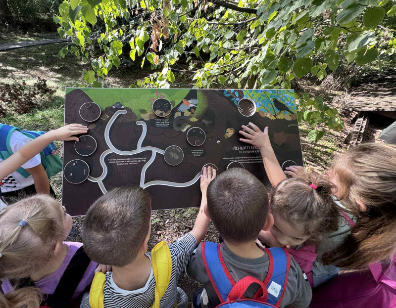 Szeptember a Pitypangban