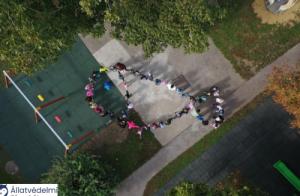 Állatvédelmi hónap a Petőfi Óvodában