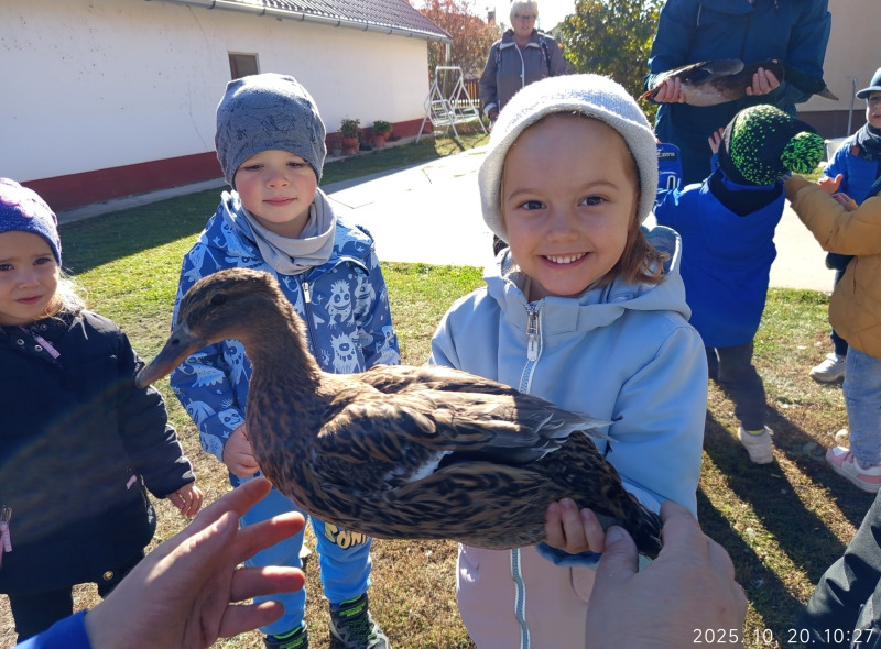 Október a Sásastó Úti Óvodában